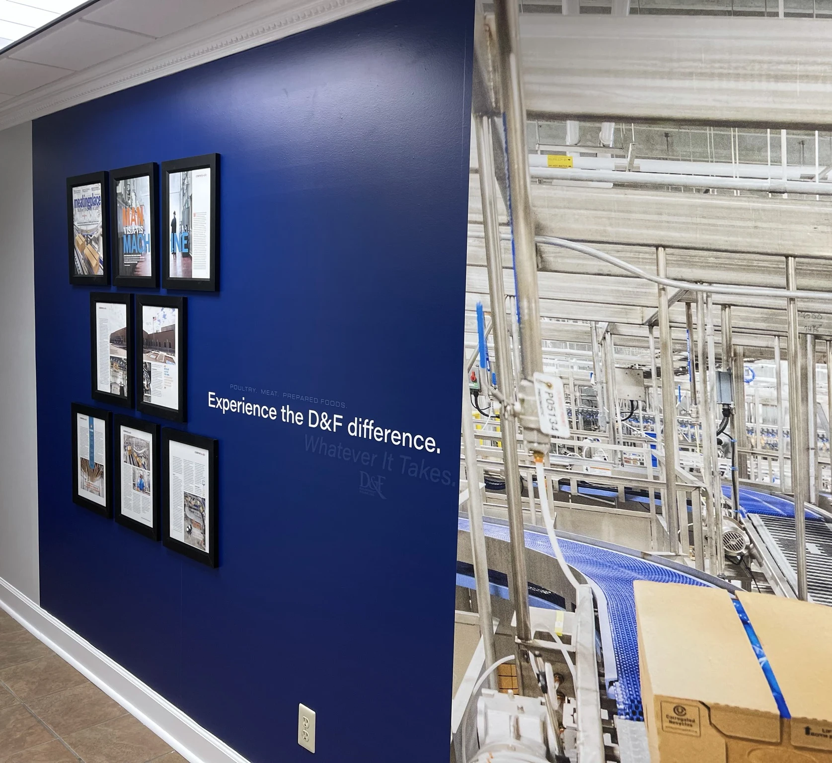 D&F conveyor belt system