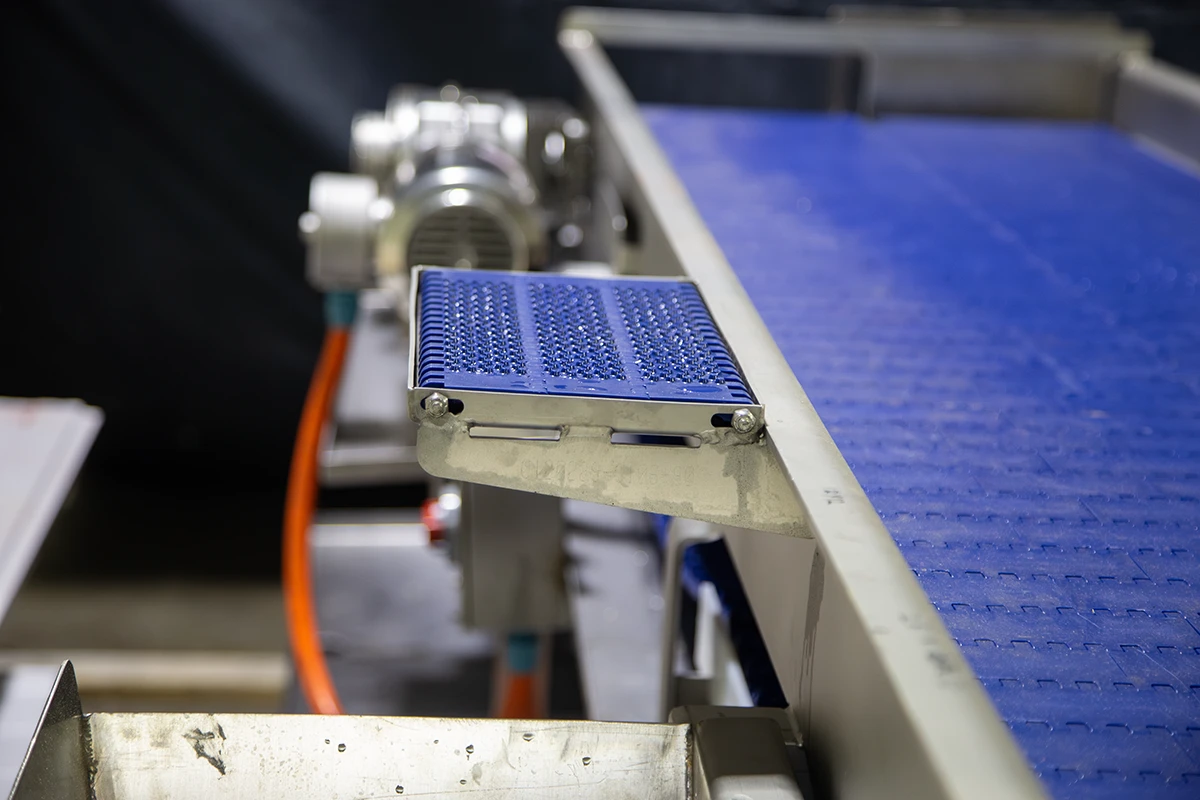 D&F conveyor belt system for meat and prepared food industries