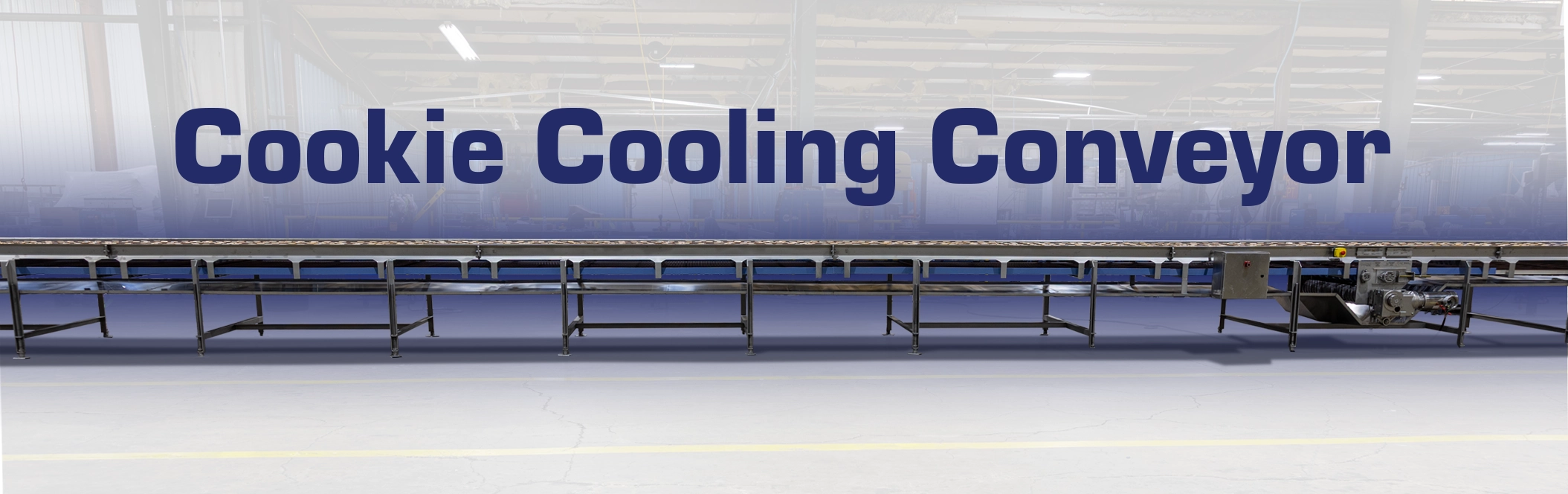 Cookie Cooling Conveyor