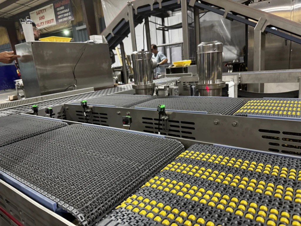 D&F conveying system built for intelligent sorting